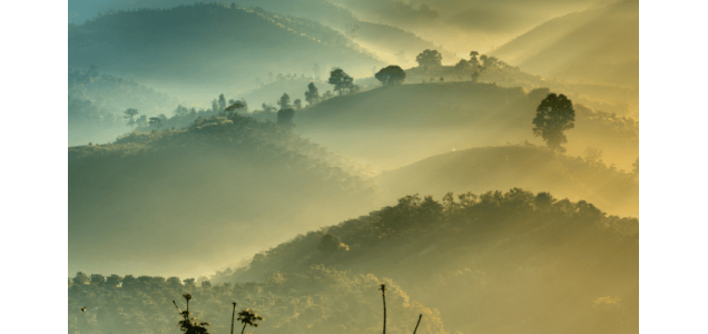 how to active the feng shui product 2